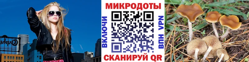 Галлюциногенные грибы GOLDEN TEACHER  KRAKEN как зайти  Аркадак 